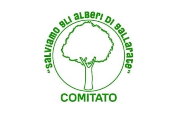 Malpensa comitato alberi gallarate