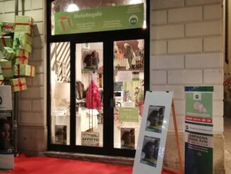 Gallarate Temporary Charity Store