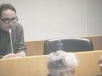 Gallarate insulti consiglio comunale