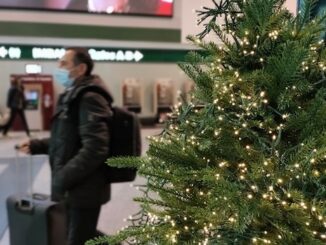 Malpensa passeggeri 2023 natale