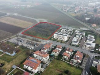 vanzaghello anziani fragili assistenza