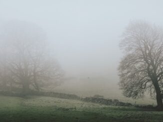coperto piogge pianura nebbia 02