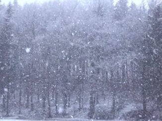 maltempo pioggia nevicate prealpi 03