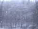 maltempo pioggia nevicate prealpi 03