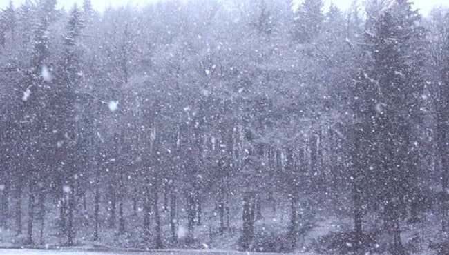maltempo pioggia nevicate prealpi 03