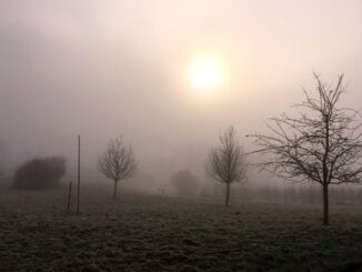 neve schiarite nebbia pianura
