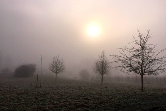 neve schiarite nebbia pianura