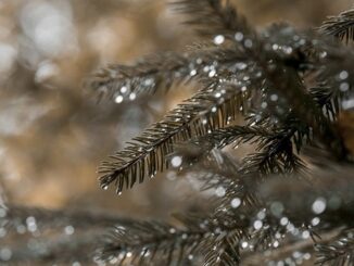 nubi peggioramento piogge neve 02