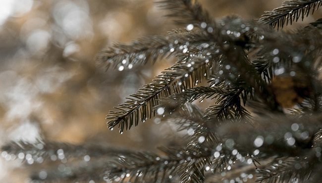 nubi peggioramento piogge neve 02