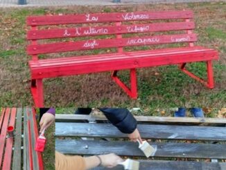 gallarate tutela minori girandola