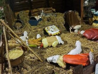abbiategrasso presepe vandali alpini