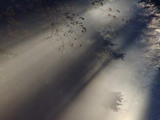 sole nebbia temperature monti