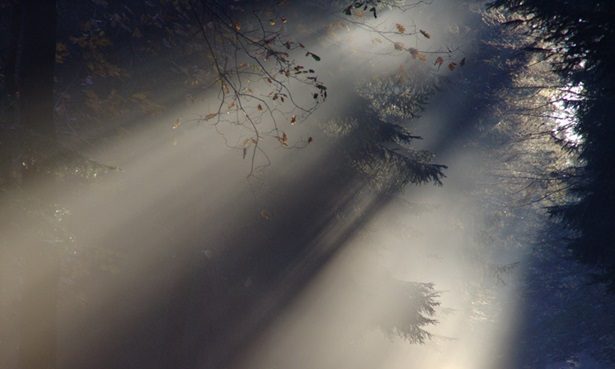 sole nebbia temperature monti