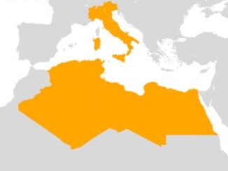 economia varese africa export