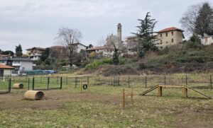 Cardano nuova area cani