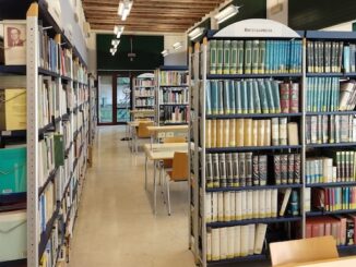 Gallarate sistema panizzi liquidazione