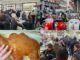 Gallarate epifania cammelli pasticceria