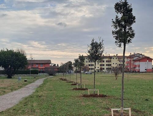 sangiorgiosulegnano ambiente alberi maltempo
