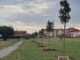 sangiorgiosulegnano ambiente alberi maltempo