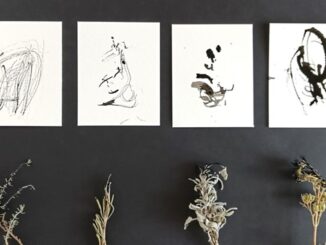 castiglione storie arte minimalismo
