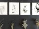 castiglione storie arte minimalismo
