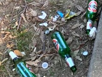 Gallarate alcol vietato stazione