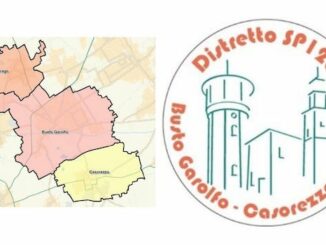 dairago bustogarolfo commercio distretto