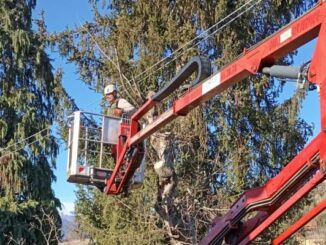 luino addio alberi lungolago
