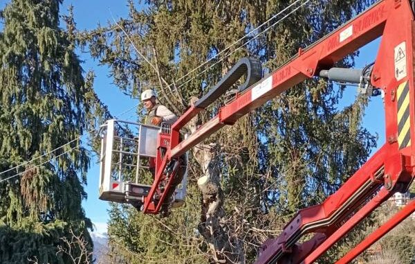 luino addio alberi lungolago