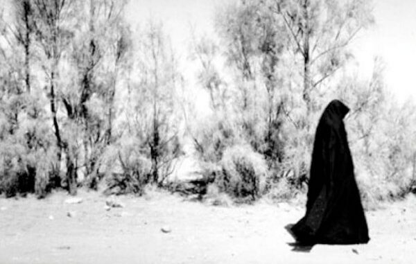 mostra varese iran