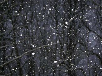 nuvolosità maltempo temperatura discesa