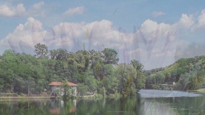 magenta parco ticino convegno
