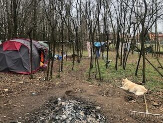 vanzaghello vive tenda tendiunamano