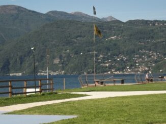 veleno germignaga atto volontario
