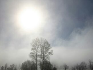 weekend sole clima nebbie