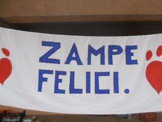 Albizzate zampe felici associazione