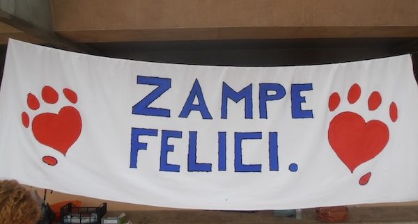 Albizzate zampe felici associazione