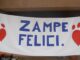 Albizzate zampe felici associazione