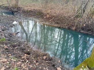 gallarate oasi fontanili rifiuti