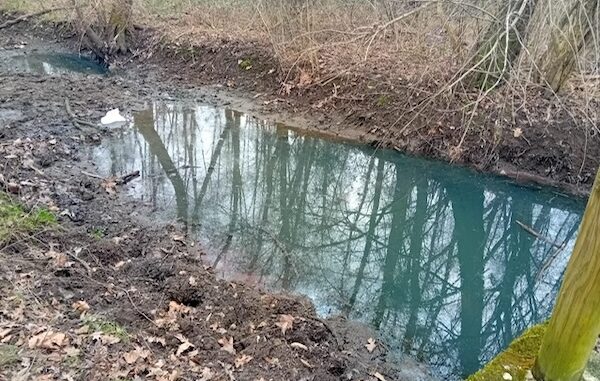 gallarate oasi fontanili rifiuti