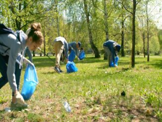 regione verde pulito caronno