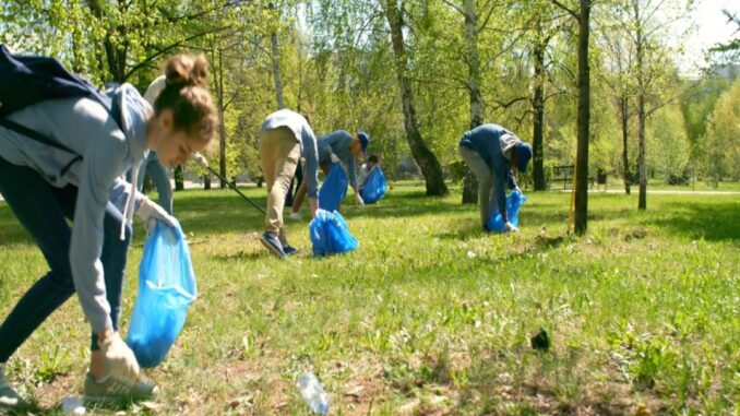 regione verde pulito caronno