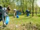 regione verde pulito caronno