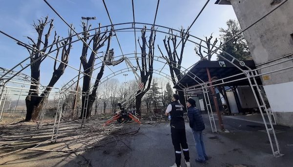 Albizzate tigli messa sicurezza