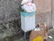 legnano sondaggio aemmelineaambiente igieneurbana