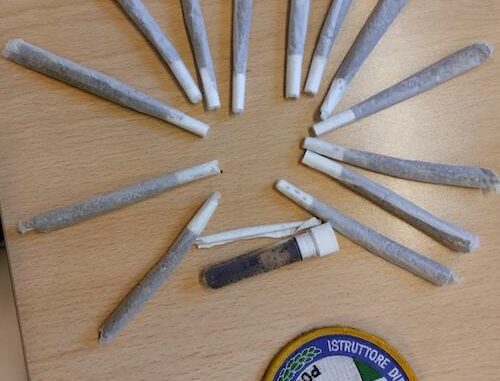 castanoprimo droga scuole polizialocale