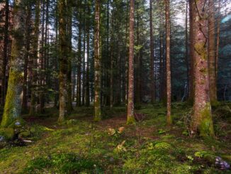lombardia foreste biodiversità