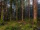 lombardia foreste biodiversità