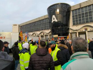 mle sciopero cargo city