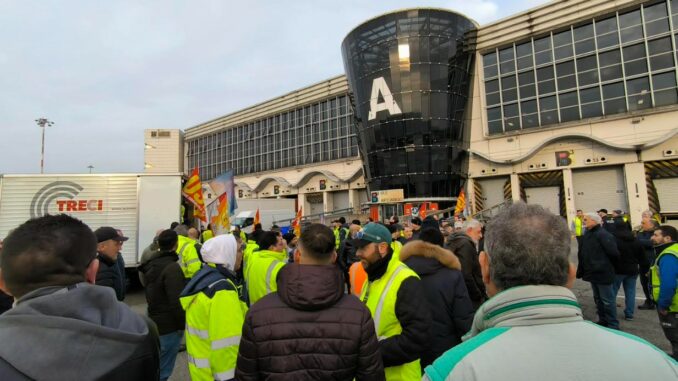 mle sciopero cargo city